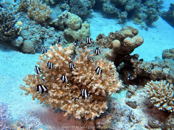 Soma-Bay-04-2024-032