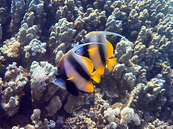 Soma-Bay-04-2024-037