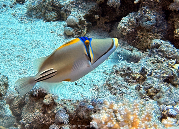 Soma-Bay-04-2024-047