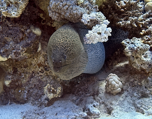 Soma-Bay-04-2024-050