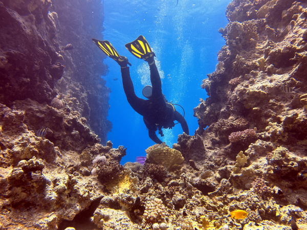 Soma-Bay-04-2024-051