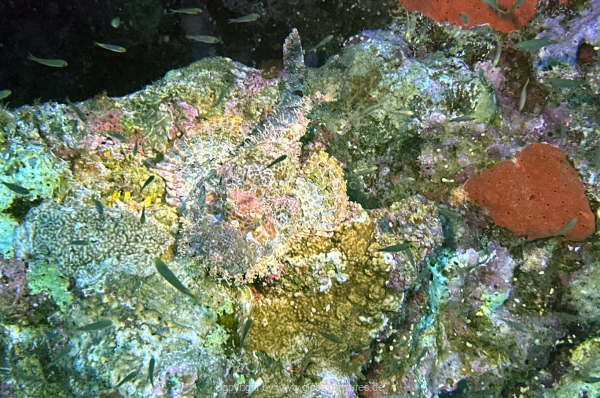 Soma-Bay-04-2024-057