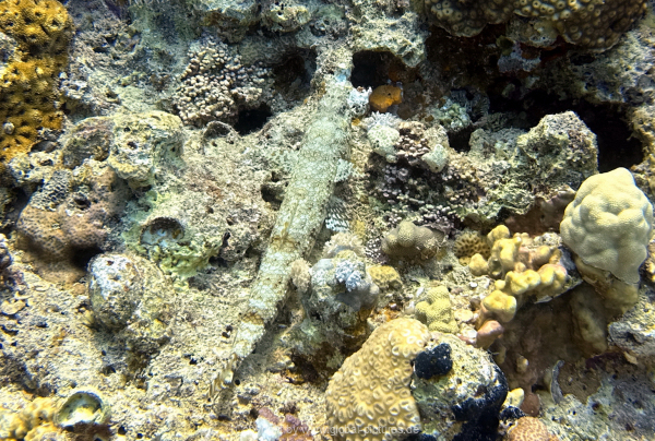 Soma-Bay-04-2024-058