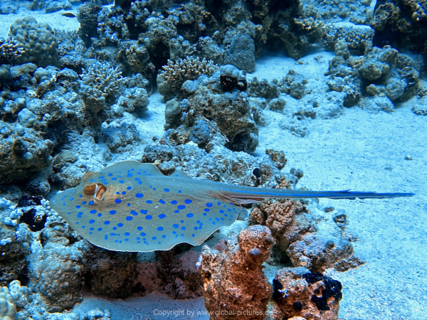 Soma-Bay-04-2024-061