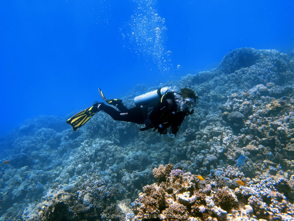 Soma-Bay-04-2024-071