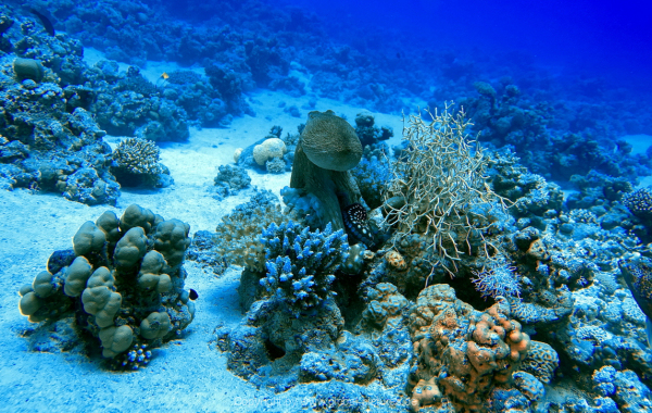 Soma-Bay-04-2024-073