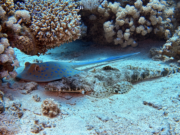 Soma-Bay-04-2024-078