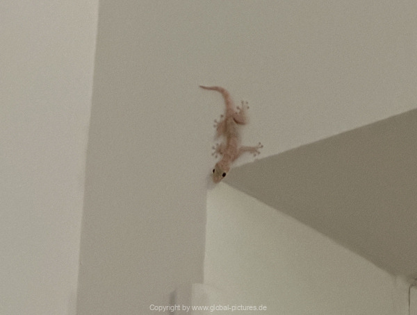 Soma-Bay-04-2024-084