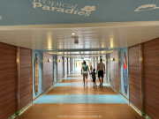 AIDA-Norwegen-06-2025-022