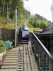 AIDA-Norwegen-06-2025-081