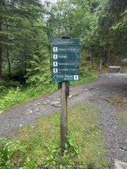 AIDA-Norwegen-06-2025-083