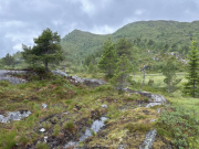 AIDA-Norwegen-06-2025-109