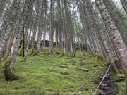 AIDA-Norwegen-06-2025-117