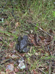 AIDA-Norwegen-06-2025-119