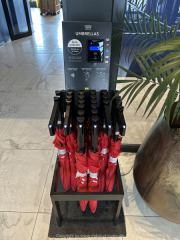 AIDA-Norwegen-06-2025-206