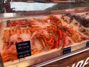 AIDA-Norwegen-06-2025-258