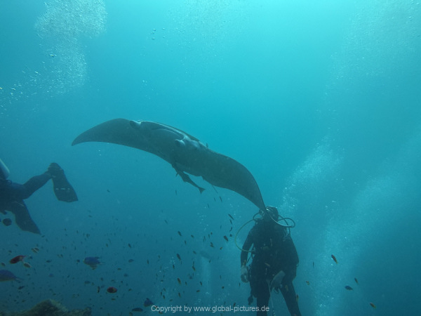 Malediven-Tour-02-2026-mit-MY-Amba-037