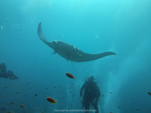 Malediven-Tour-02-2026-mit-MY-Amba-038