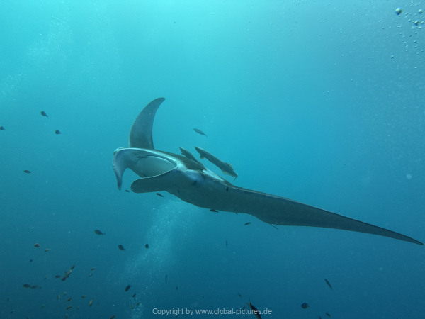 Malediven-Tour-02-2026-mit-MY-Amba-041