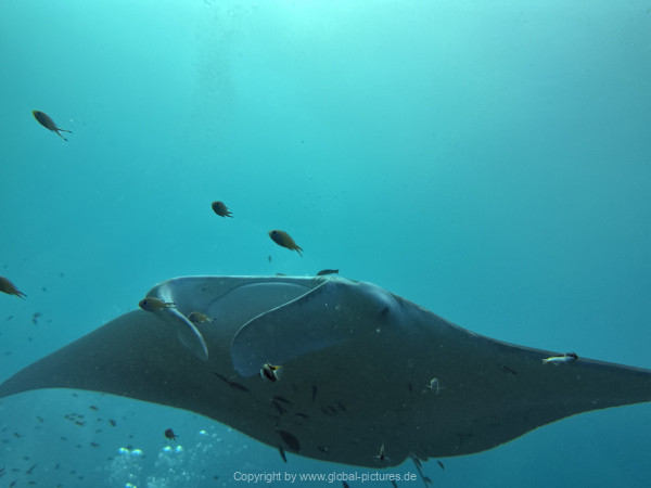 Malediven-Tour-02-2026-mit-MY-Amba-043