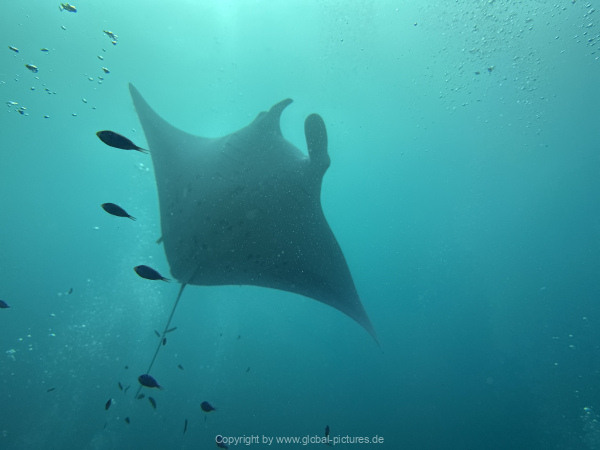 Malediven-Tour-02-2026-mit-MY-Amba-045