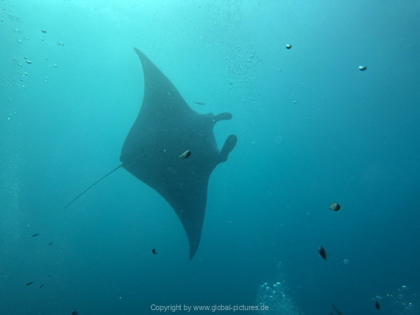 Malediven-Tour-02-2026-mit-MY-Amba-046