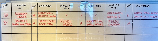 Malediven-Tour-02-2026-mit-MY-Amba-048