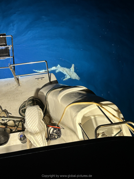 Malediven-Tour-02-2026-mit-MY-Amba-050