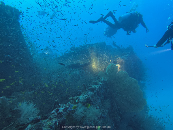 Malediven-Tour-02-2026-mit-MY-Amba-053