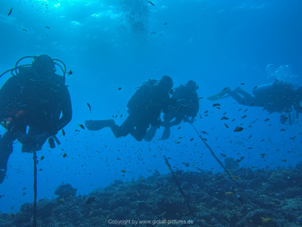 Malediven-Tour-02-2026-mit-MY-Amba-055