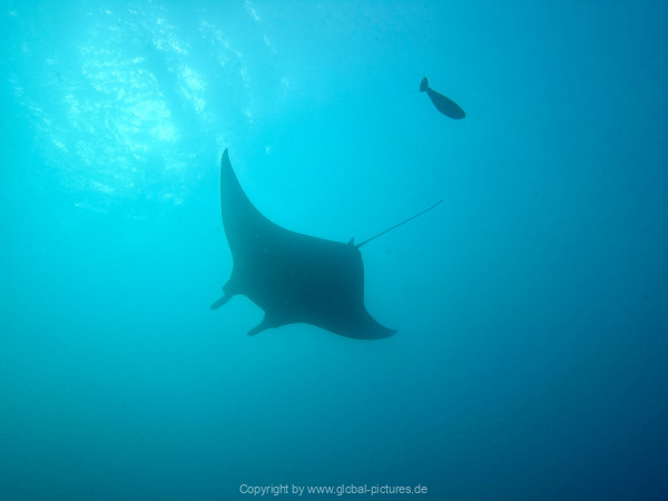 Malediven-Tour-02-2026-mit-MY-Amba-070