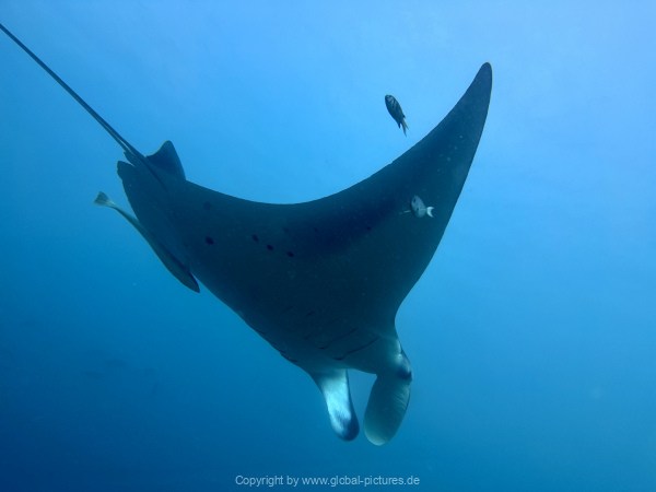 Malediven-Tour-02-2026-mit-MY-Amba-075