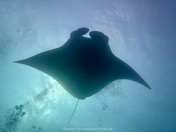 Malediven-Tour-02-2026-mit-MY-Amba-077