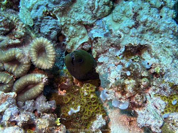 Malediven-Tour-02-2026-mit-MY-Amba-091