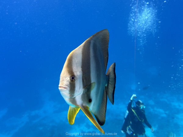 Malediven-Tour-02-2026-mit-MY-Amba-097