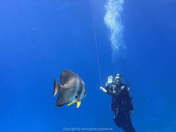 Malediven-Tour-02-2026-mit-MY-Amba-098