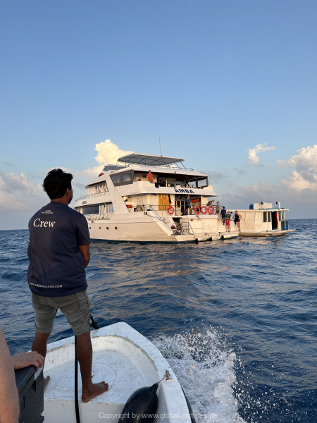 Malediven-Tour-02-2026-mit-MY-Amba-124