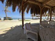 SomaBay-und-El-Gouna-06-2026-61