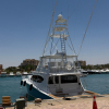SomaBay-und-El-Gouna-06-2026-22